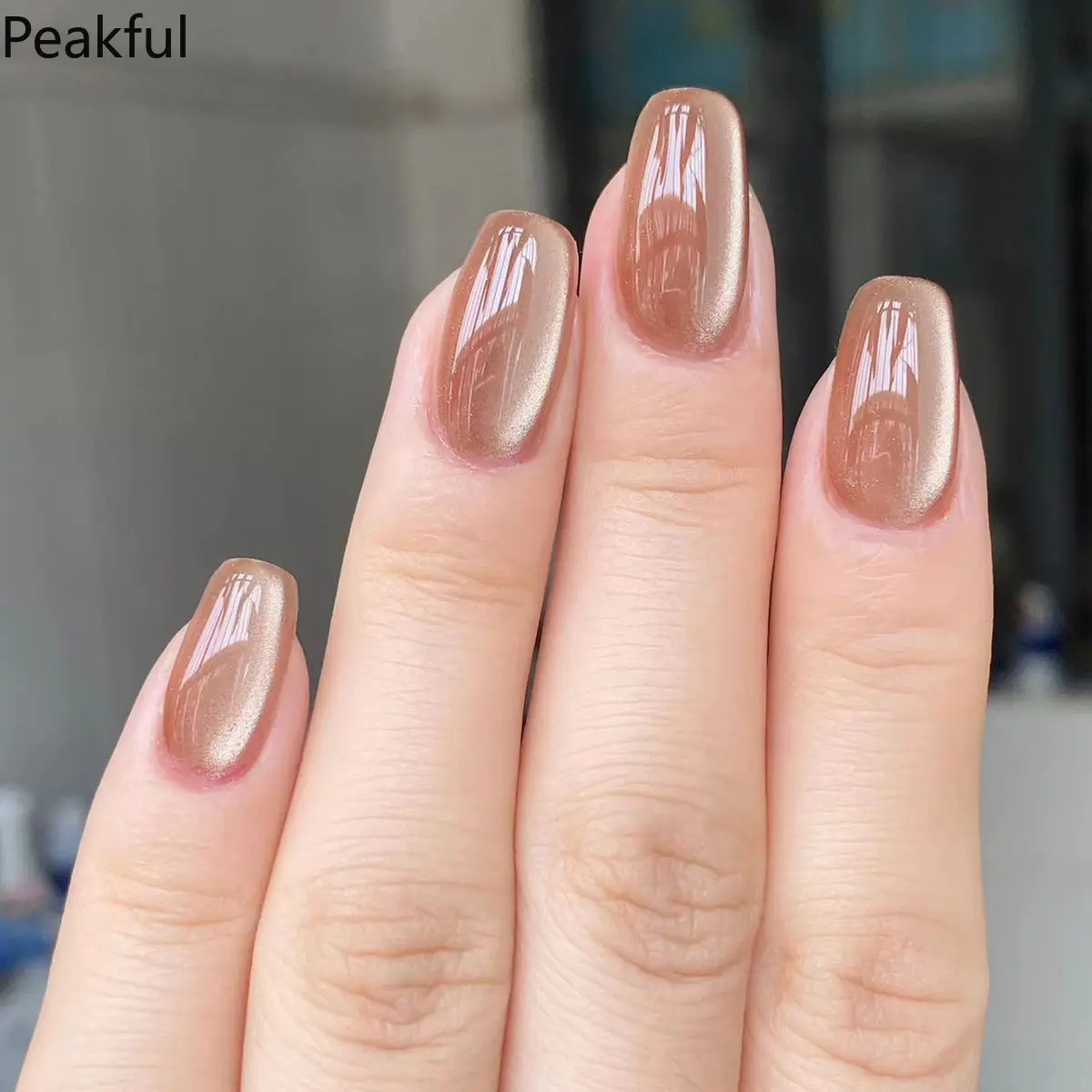 24Pcs Short Stiletto Cat Eye Press-On Nails, Elegant Velvet Shimmer Finish with Magnetic Glow, Detachable Matte Manicure Set for Women, Perfect for Daily Chic & Party Glam