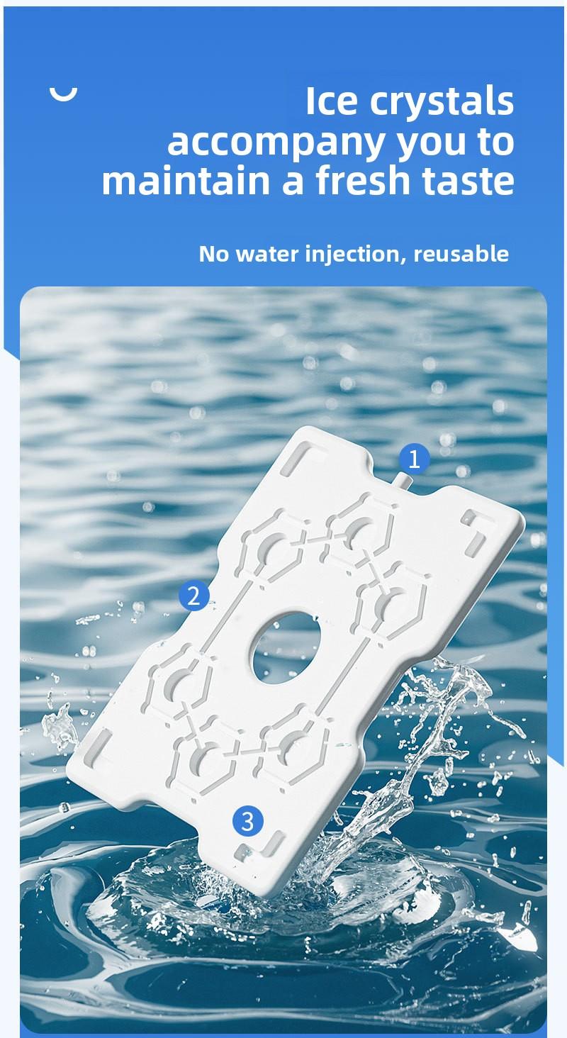 Divided Portable Ice Food Storage Container| Salad Draining Fresh Keeping Box with Compartments for Fridge Fruit Meal Prep