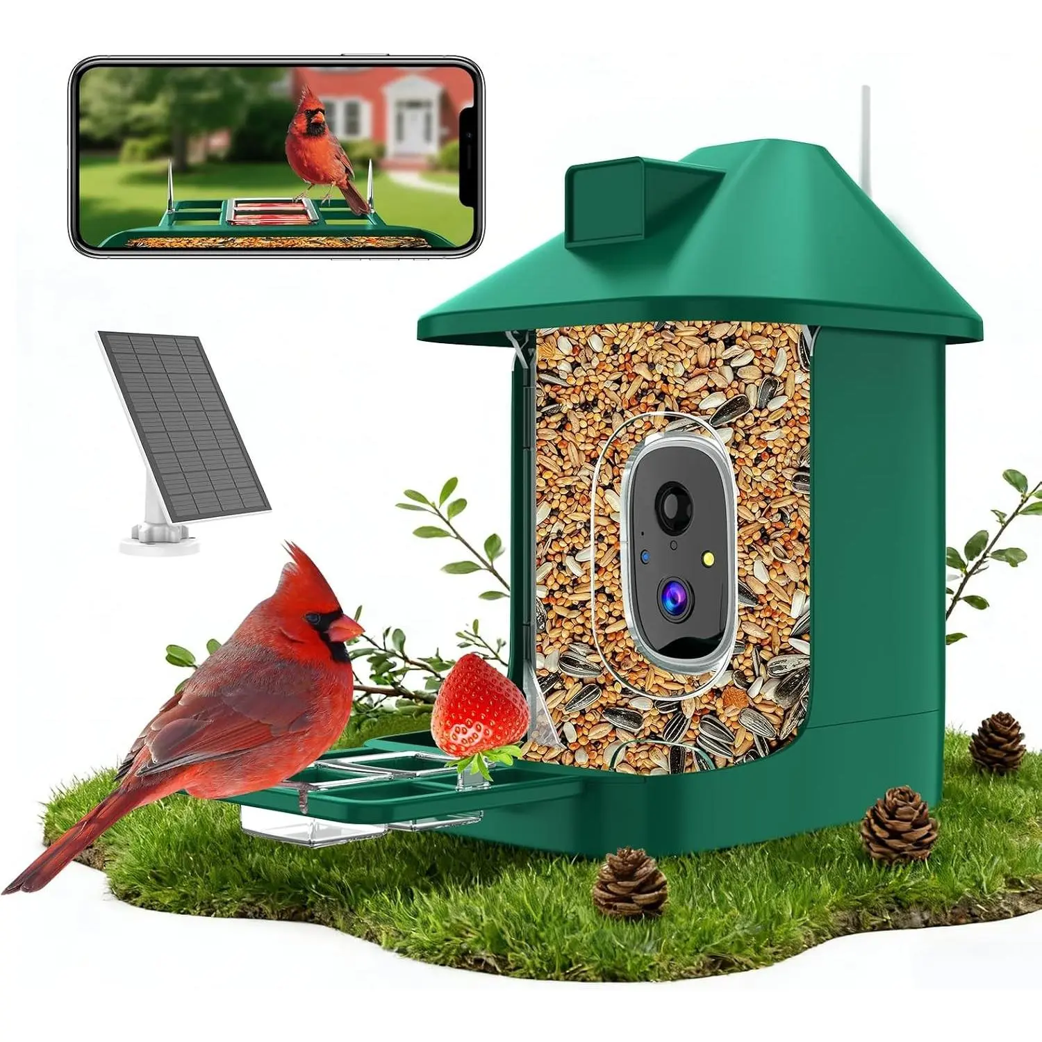 2K WiFi Smart Bird Feeder Camera Solar Powered Outdoor with Live View Night Vision AI Identify Auto Record Video Real-Time App Alerts Birdwatching Gifts for Family Bird Lovers