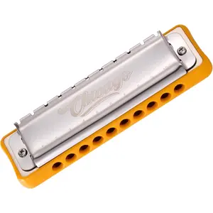 Harmonica  Blues key of C 10 Holes 20  Harps Armonica for Adults  Professional Beginners Mini Mouth Organ with Case Chicago