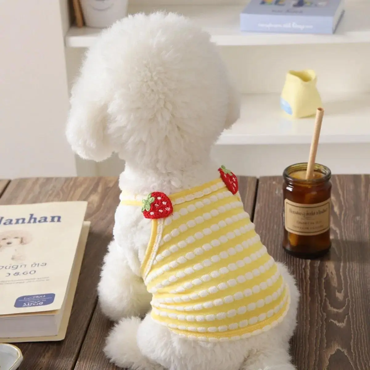 Small Dog 1-Piece Vest Shirt - S to XXL, All-Seasons Lightweight Fabric, Anti-Shedding UV Shielding Apparel for Teddy Bear Dogs, One-Piece