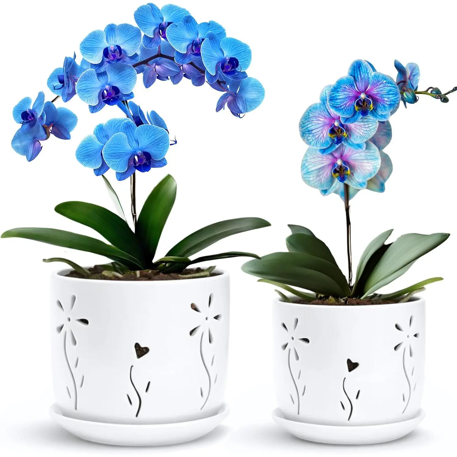 2 Pack, 5 + 6 Inch White Orchid Pots with Holes and Saucer, Ceramic Orchid Planters for Repotting with Drainage Holes and Tray, Plant Flower Pot containers for Orchid Indoor Outdoor