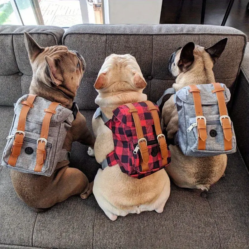 Multifunctional Adjustable Pet Carrier Backpack with Safety Harness, Suitable for Small to Medium Dogs (Chest 17.72-25.59inch), Portable Travel And Daily Use Pet Bag