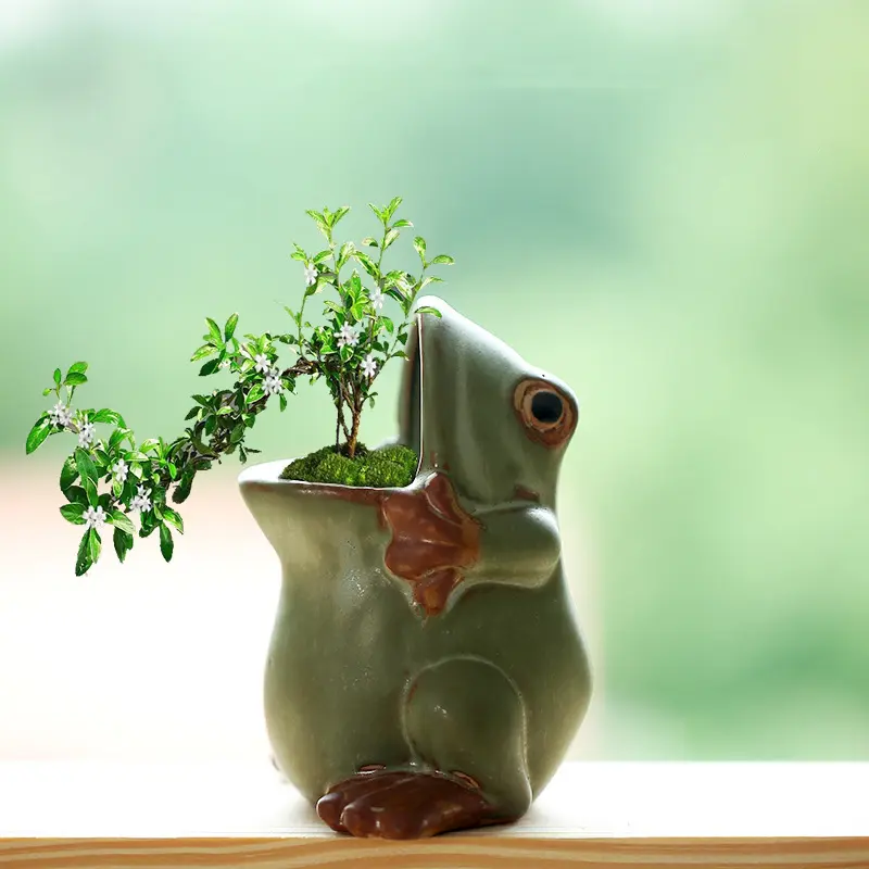 Popular cartoon animal succulent pot, Decorative Pot, ceramic breathable clay coarse pottery root control basin, cute and creative small animal frog cartoon ceramic flowerpot decoration living room bronze green
