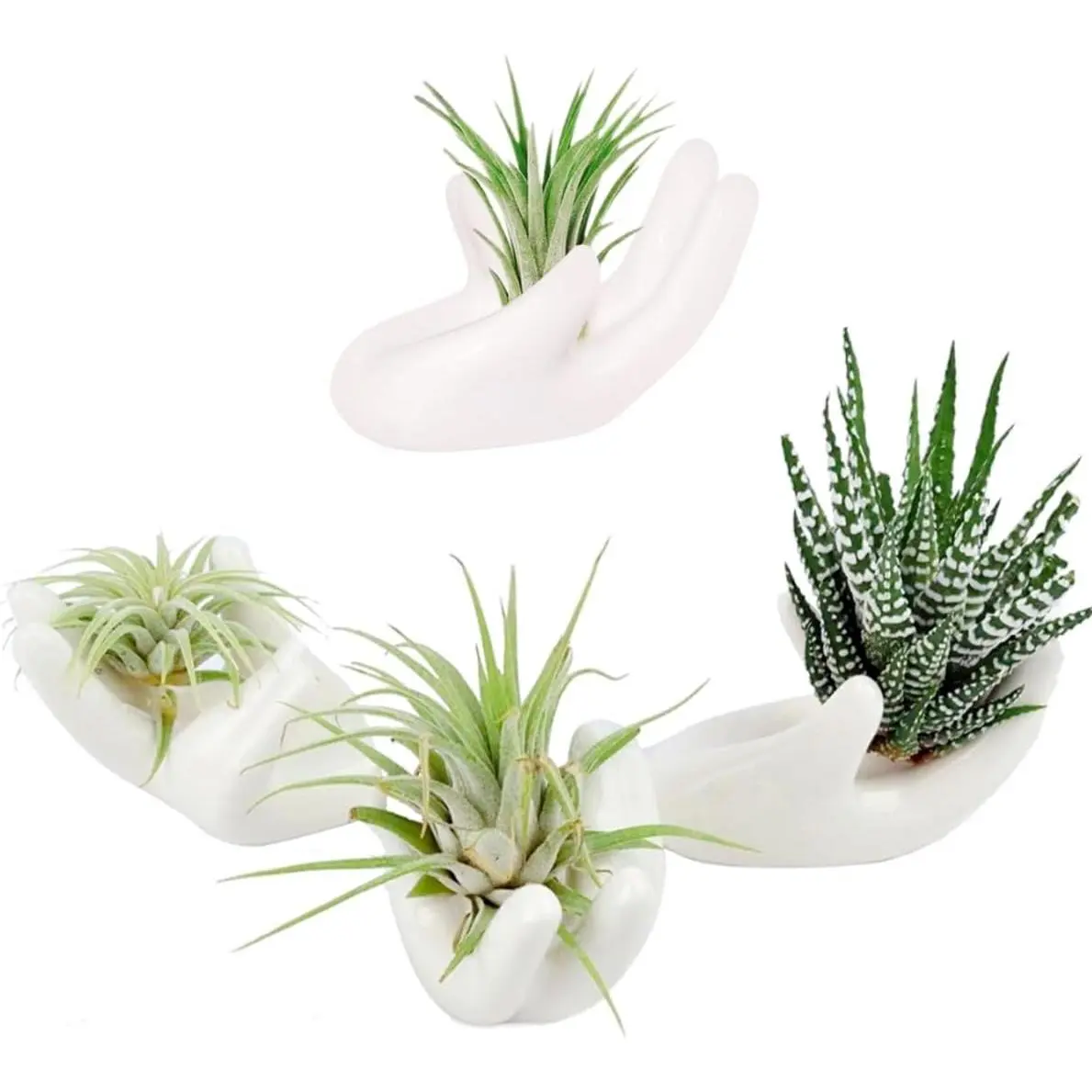 4 Pack Air Plant Holders Unique Ceramic Mini Airplants Stand Tillandsia Succulent Display Container Pot Cute Home Decor for Desk Table Shelf Window, White