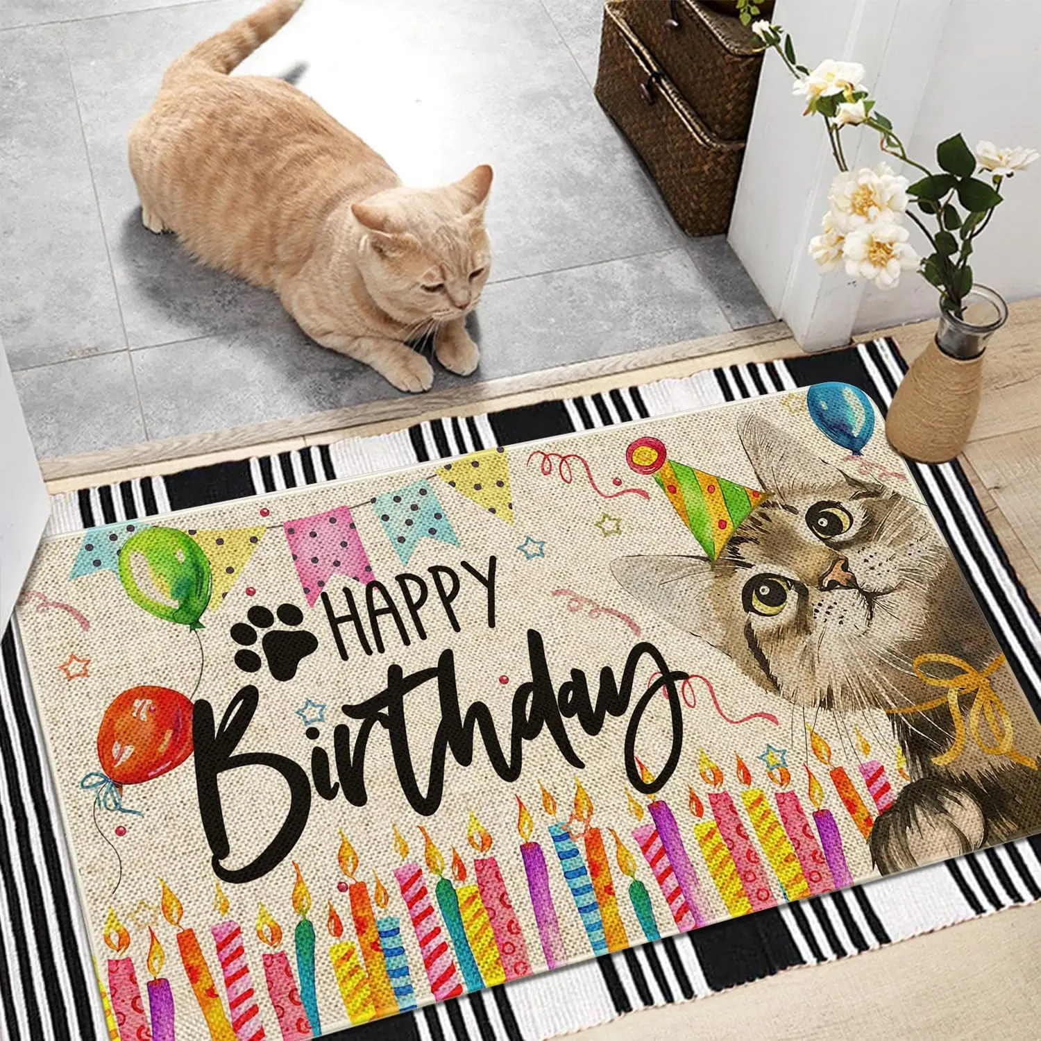Happy Birthday Cat Welcome Door Mat 24x16 Inch Cat Front Doormat Indoor Outdoor Cat Floor Mats Non-Slip Washable Pet Home Birthday Decor