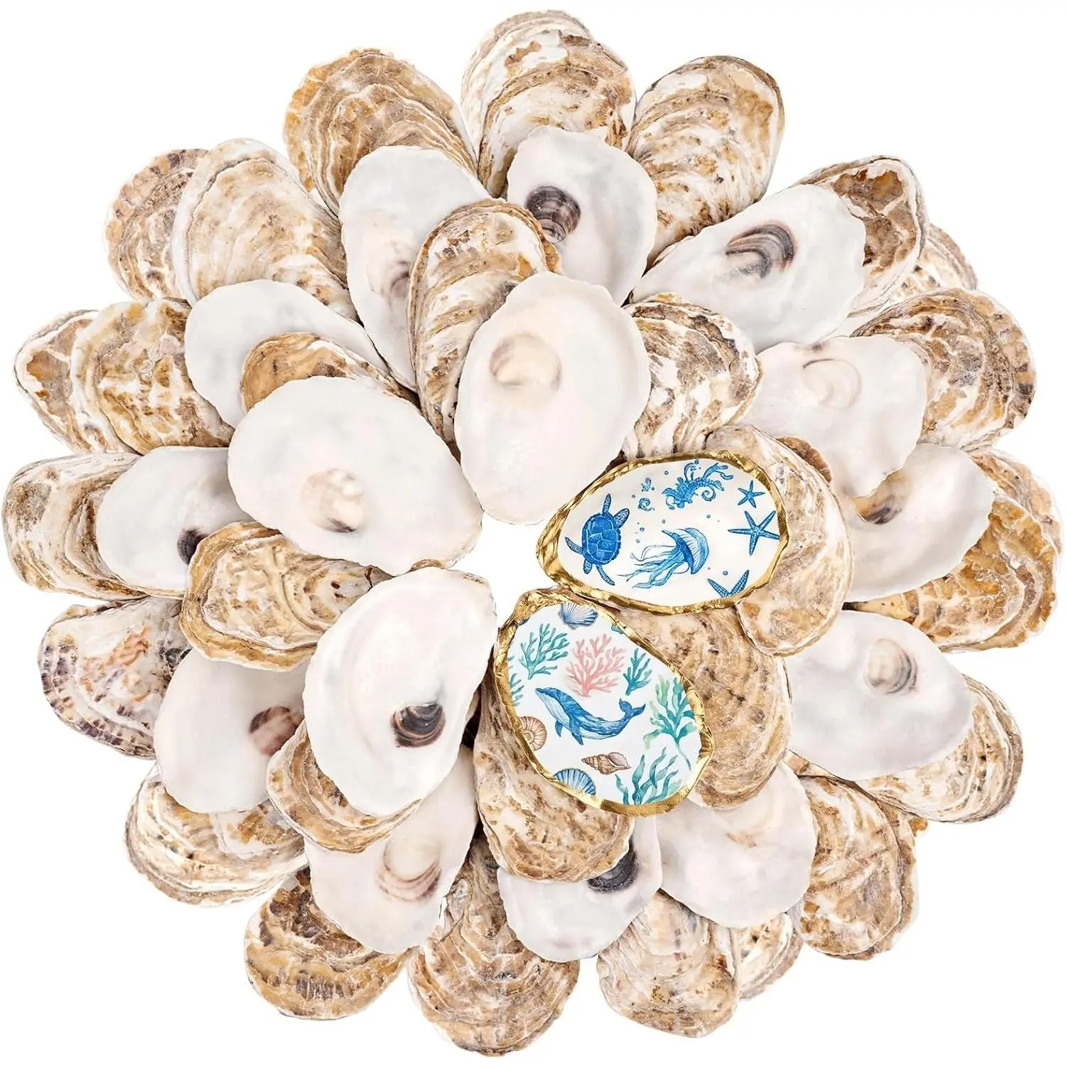30Pcs 2-3 Inch Cleaned Natural Small Flat Oyster Shells for Crafts Decoupage Painting Vase Filler DIY Wedding Decor Coastal Christmas Seashell Art