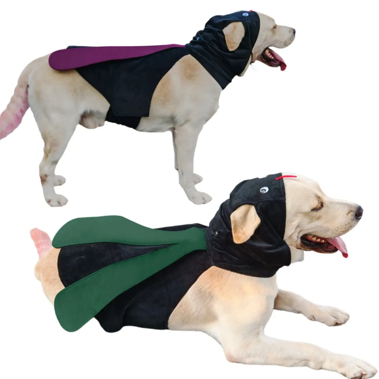 Koogal Dog Mosquito Costume, Fun Pet Dress-Up for Halloween, Parties, Photoshoots, Universal Size for Dogs & Cats