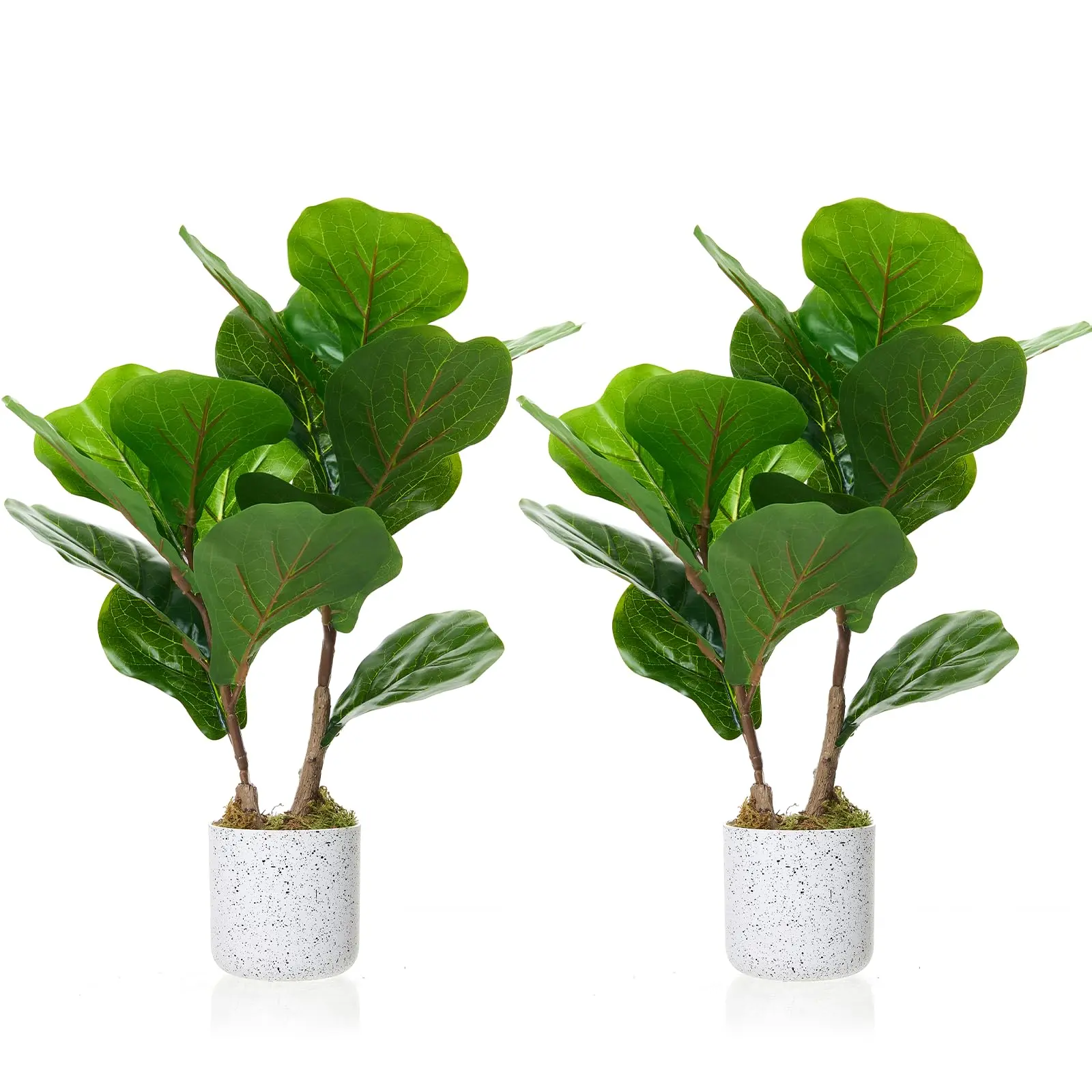 2-Pack Faux Fiddle Leaf Fig Tree – 15.7" Artificial Ficus Lyrata with White Planter – Realistic Potted Plant for Home, Office, Desk Decoration