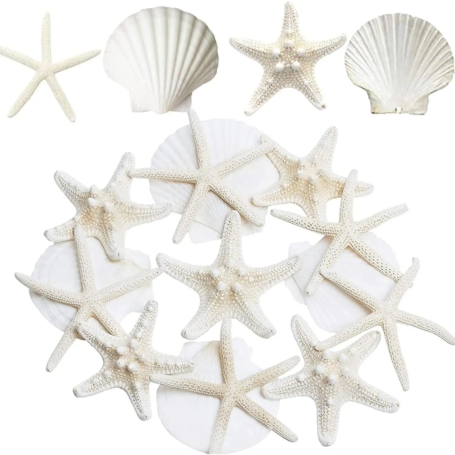 12PCS Large Starfish and Scallop Shells for Crafts 3-4 Inch Natural Sea Shells, Baking Shells Perfect for Christmas Decor Beach Party Wedding Fish Tank CraftGift