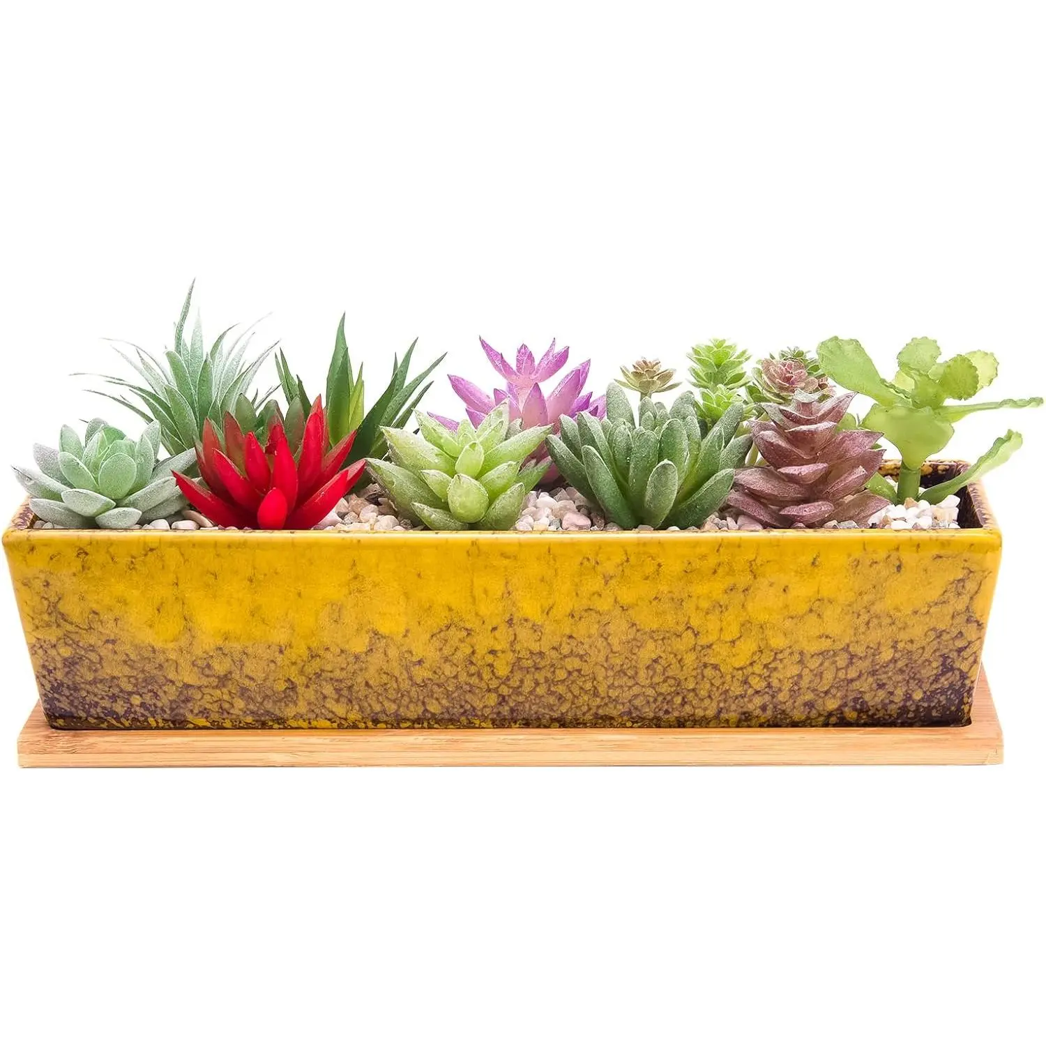 Succulent Pots - Large Succulent Planter Pots with Drainage, 12 Inch Long Rectangle Bonsai Pot with  Tray Shallow Ceramic Cactus Flower Planter Window Box for  Garden Decor (Yellow)