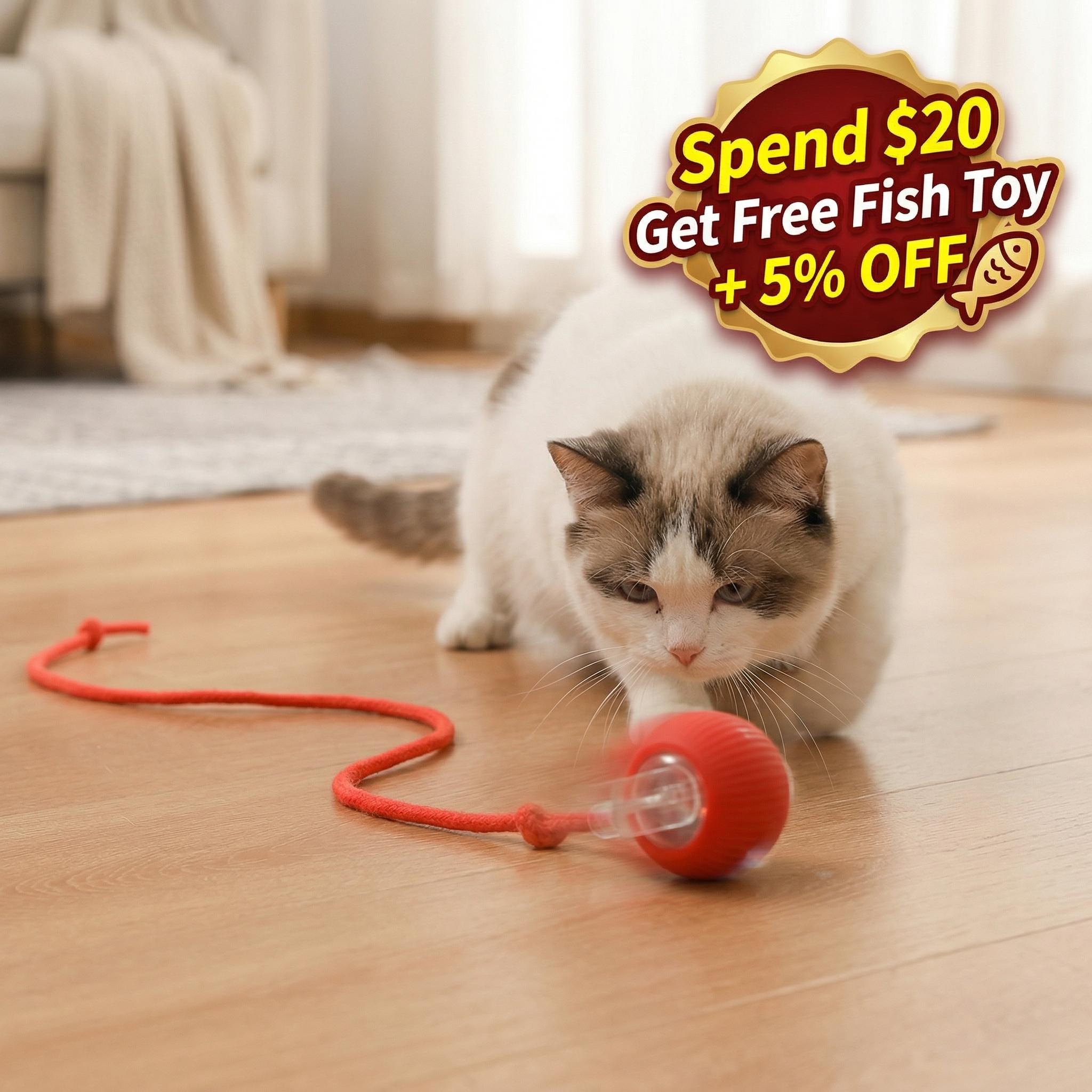 Interactive Cat Toy Ball, Automatic Rolling Pet Toy with Tail, Smart Obstacle Avoidance Cat Toy, Rechargeable Kitten & Small Dog Toy, Keeps Cats Busy, Indoor Self Play, Bite Resistant Silicone, Quiet and Easy to Clean