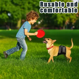 Male Dog Underwear Summer Mesh Breathable Anti-Leak Training Pants, Adjustable Pet for Medium Dogs, Comfortable Walks & Training