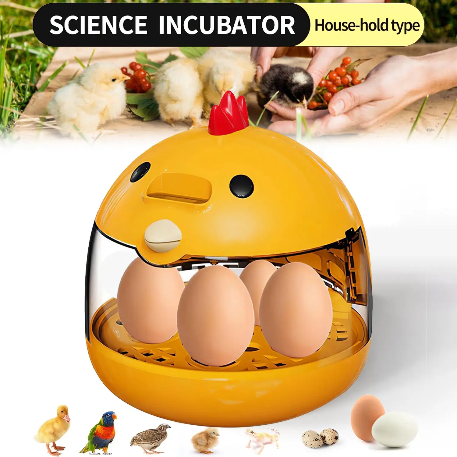Home Mini Egg Incubator, Holds 5 Eggs or 10 Bird Eggs, 5v 2a Safe Voltage, Includes Candler, Cute Design, Ideal for Home Use