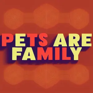 Enjoy the Universe shop