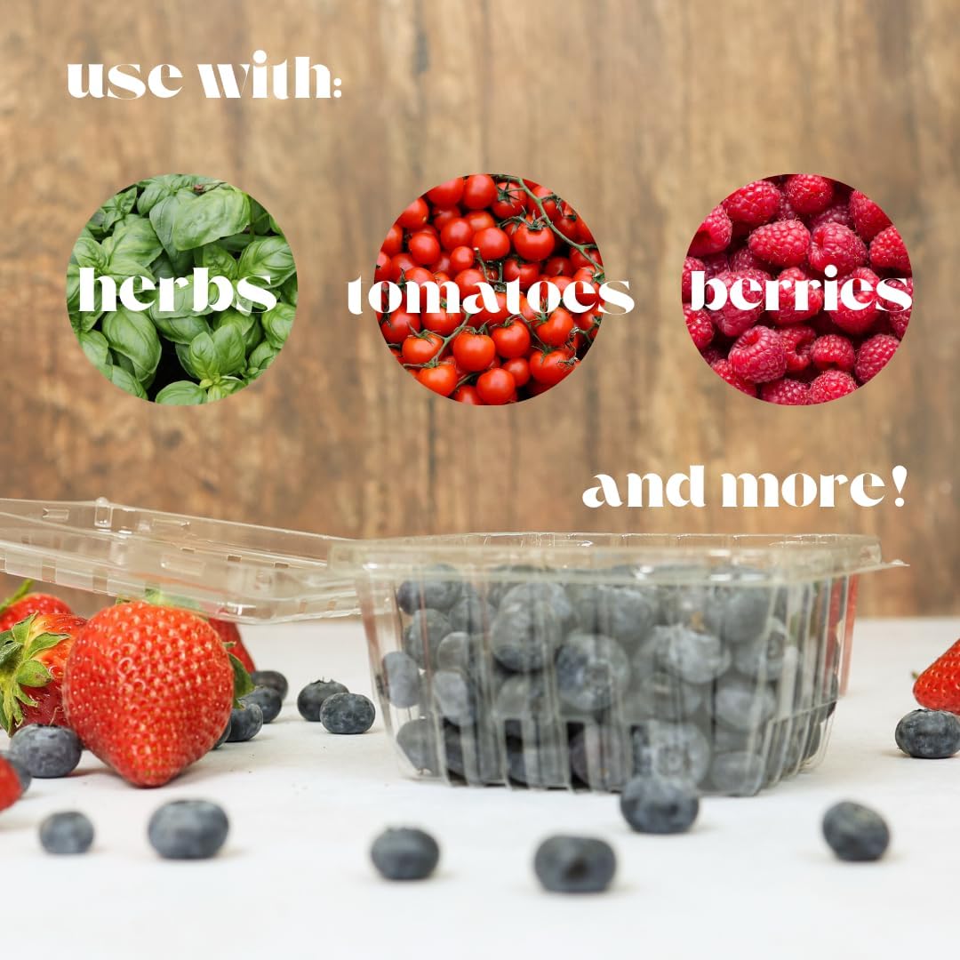 35 PACK - Plastic Berry Basket/Produce Containers - Pint Size for Blueberries, Raspberries, Strawberries