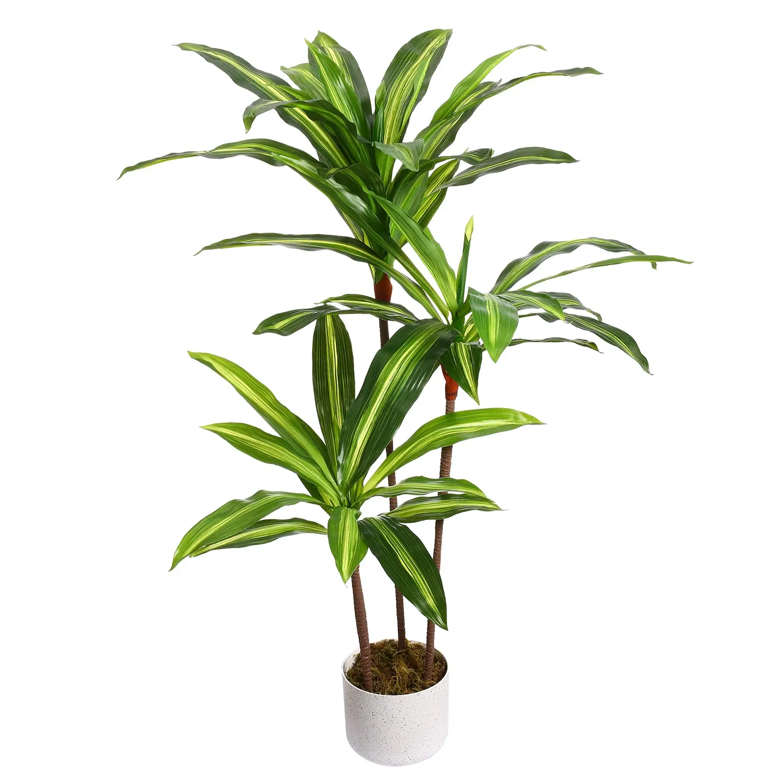 Tall Artificial Dracaena Marginata Plant in Pot – 5.4FT Realistic Faux Evergreen Greenery – Indoor & Outdoor Decorative Floor Plant for Home, Office, Living Room – Ideal Housewarming Gift