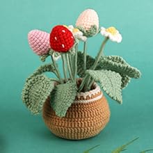 2 Pieces Crochet Hook Set, Suitable for Beginners, Flowers Crochet Hook Set, Crochet Starter Kit Potted Plants with Step-by-Step Video Tutorial, Suitable for Beginners and Adults (Daisies and Sunflowers)