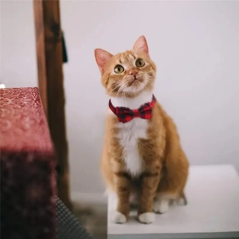 4Pcs Plaid Bow Cat Collars With Bell, Adjustable 7.5-12 Inch Polyester Pet Collars With Safe Breakaway Buckle, Comfort Multi-Color Accessory For Kittens And Small Indoor Dogs