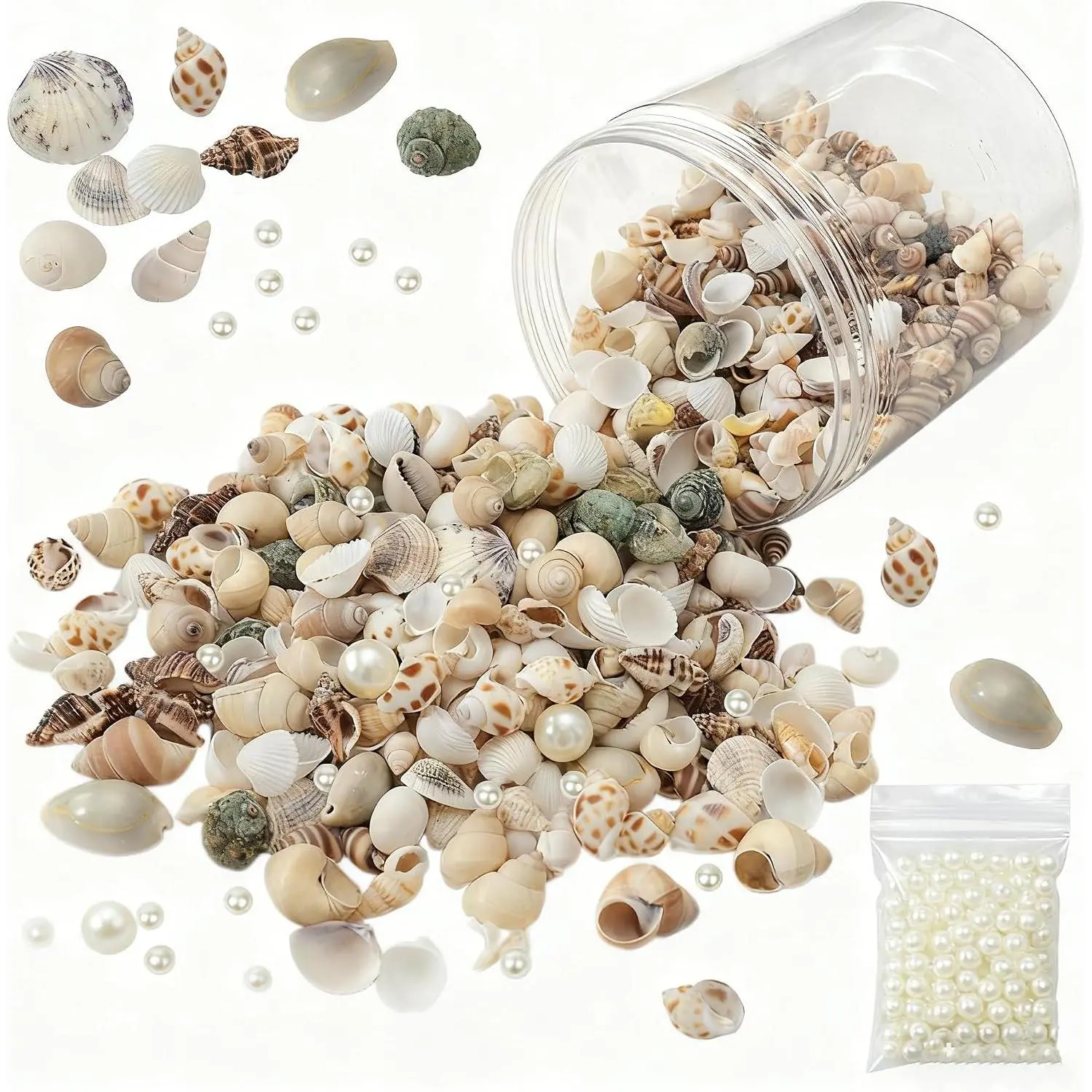 1200 count Sea Shells Small  Beach  Seashells with 100 count  are Suitable for Beach Theme Parties, Decoration, Various DIY Crafts,Candle Making,Shells,Vase fillers