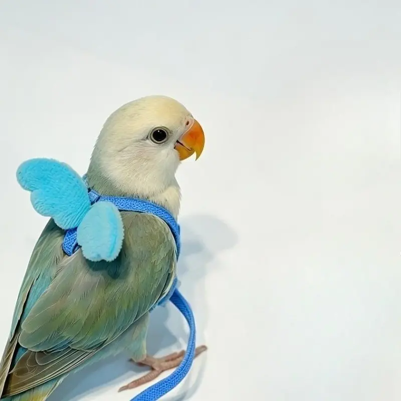 Adjustable Parrot Chest Strap for Small Birds, Safe Outdoor Harness for Lovebirds, Tiger Barbet, Monk Parakeet, Flying Safety Gear