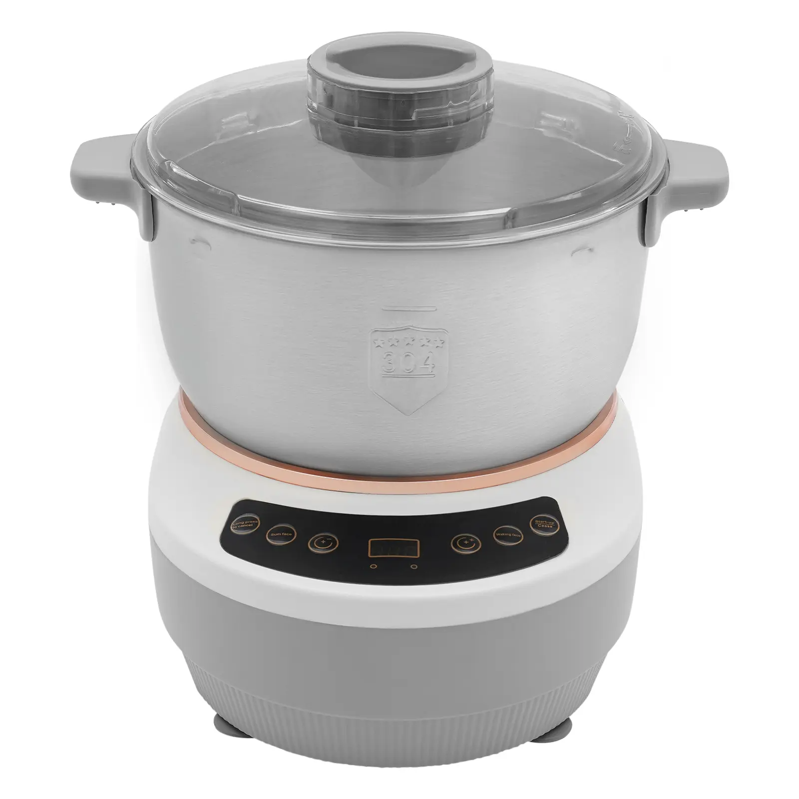 Tabletop Dough Kneading Machine 304 Stainless Steel 110V US Plug For Canteen Bakery Noodle Shop Home Kitchen Commercial Use