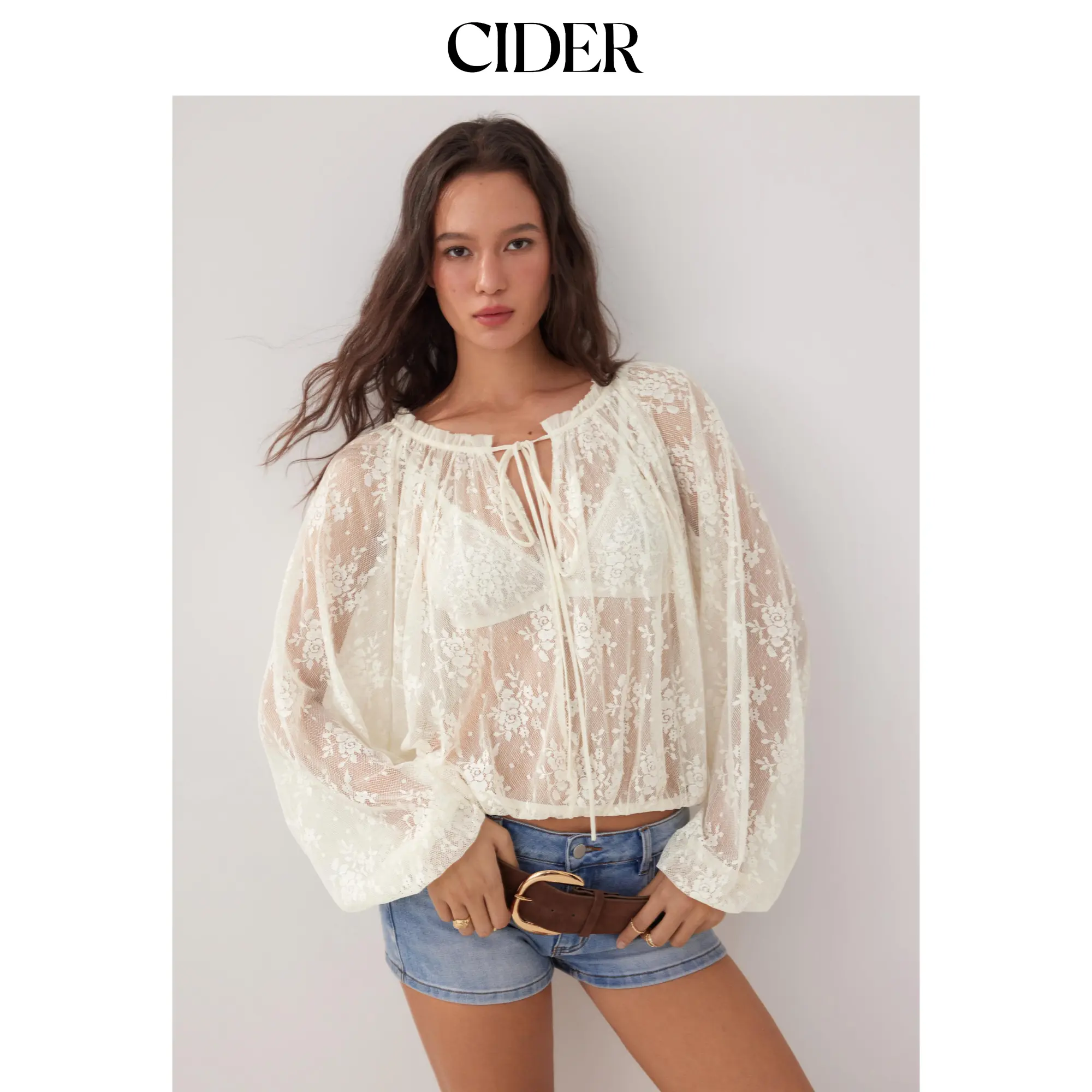 Cider Lace Floral V-neck Ruffled Lantern Sleeve See-Through Blouse