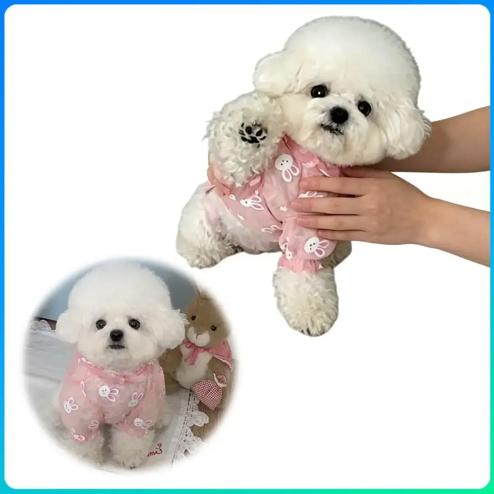Bunny Print Mesh Dog Jumpsuit – Breathable Four-Legged Puppy Outfit with Hood