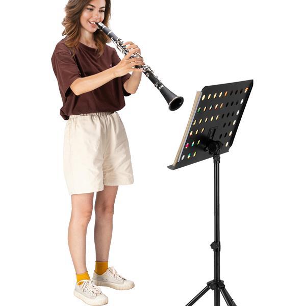 Beginner Bb Clarinet – 17 Keys Black Clarinet with 2 Mouthpieces & Connector, Easy to Learn，clarinet player Chrome Durable Oboe Instrument Bamboo Flute Fathersdaygift