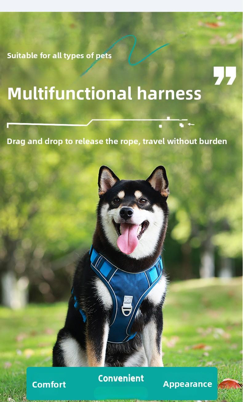 Ditch the Slip-Ups with Flimsy Harnesses! All-in-One Heavy-Duty Dog Harness |   Tear & Pull-Resistant, Ultra-Secure for Big Dogs