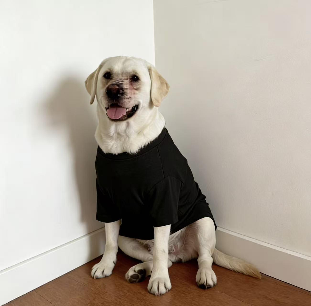 SoPets Summer Cooling Dog Shirts for Large Breeds Labrador Golden Retriever Thin Anti Shedding Shirt Breathable Pet Clothing