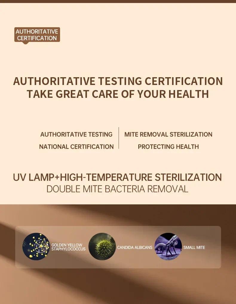 Mini Portable Folding Dryer with US Plug - Timing Function Energy Saving Three Colors - Space Saving for Business Travel Tourist Apartments Household Items Home Appliances