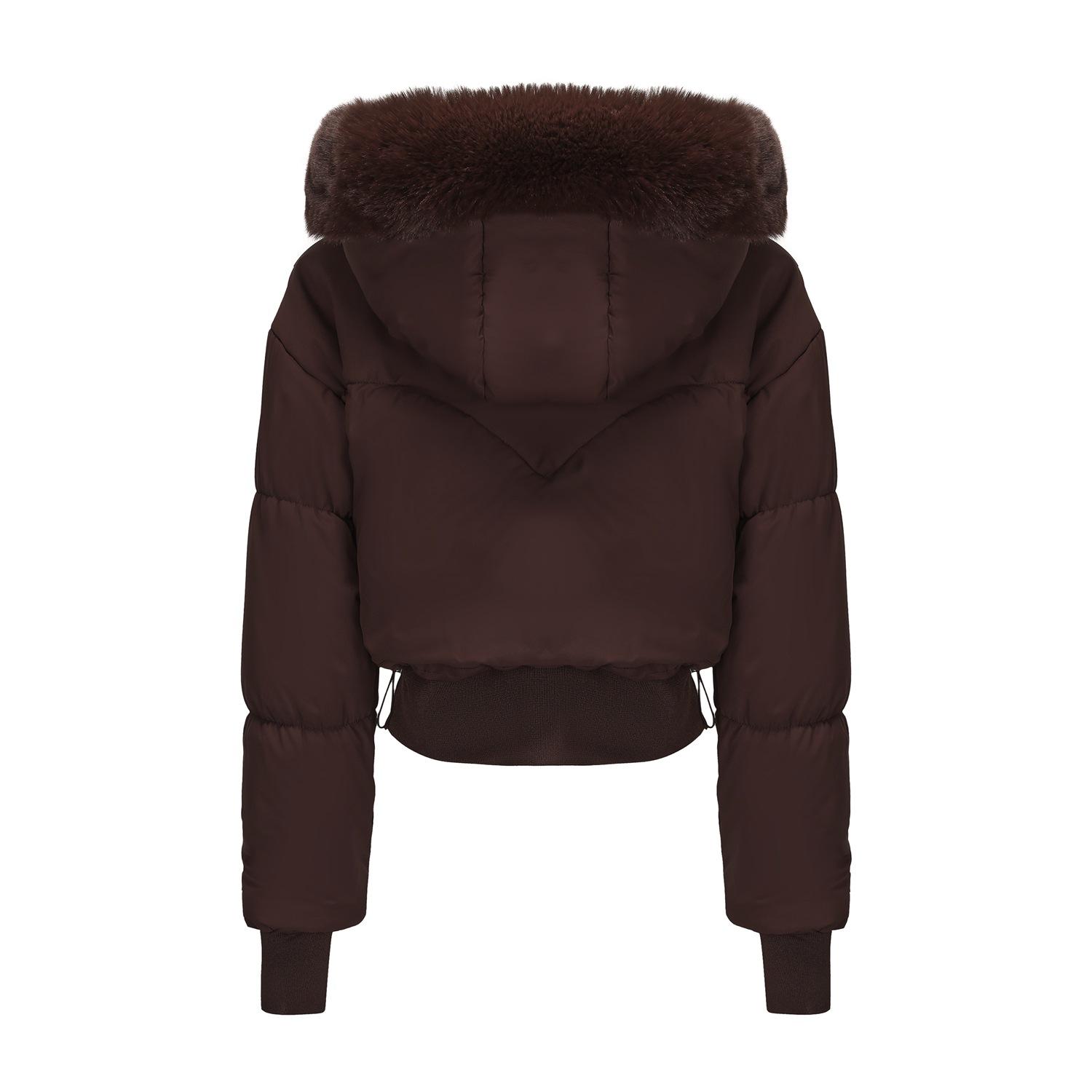 BIGWIG women's long-sleeved autumn and winter short down jacket, with hood for going out, basic parka, jacket, hooded jacket, girls zipper jacket, 2025 fashion new style, long-sleeved puffy jacket, stand-up collar zipper, quilted filling