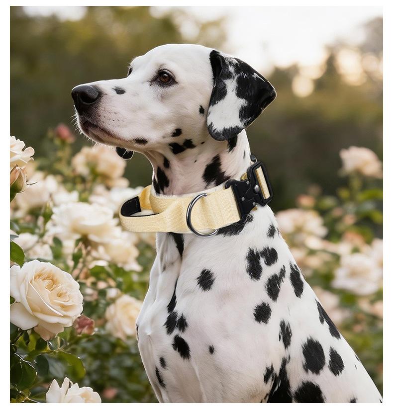 Premium Heavy-Duty Nylon Dog Collar - Extra Wide, Padded, with Stainless Steel Buckle Adjustable Pet Collar, Durable Dog Collar for Medium Large Dogs Cats for Outings, Dog Supplies, Pets Supplies, Christmas Gift