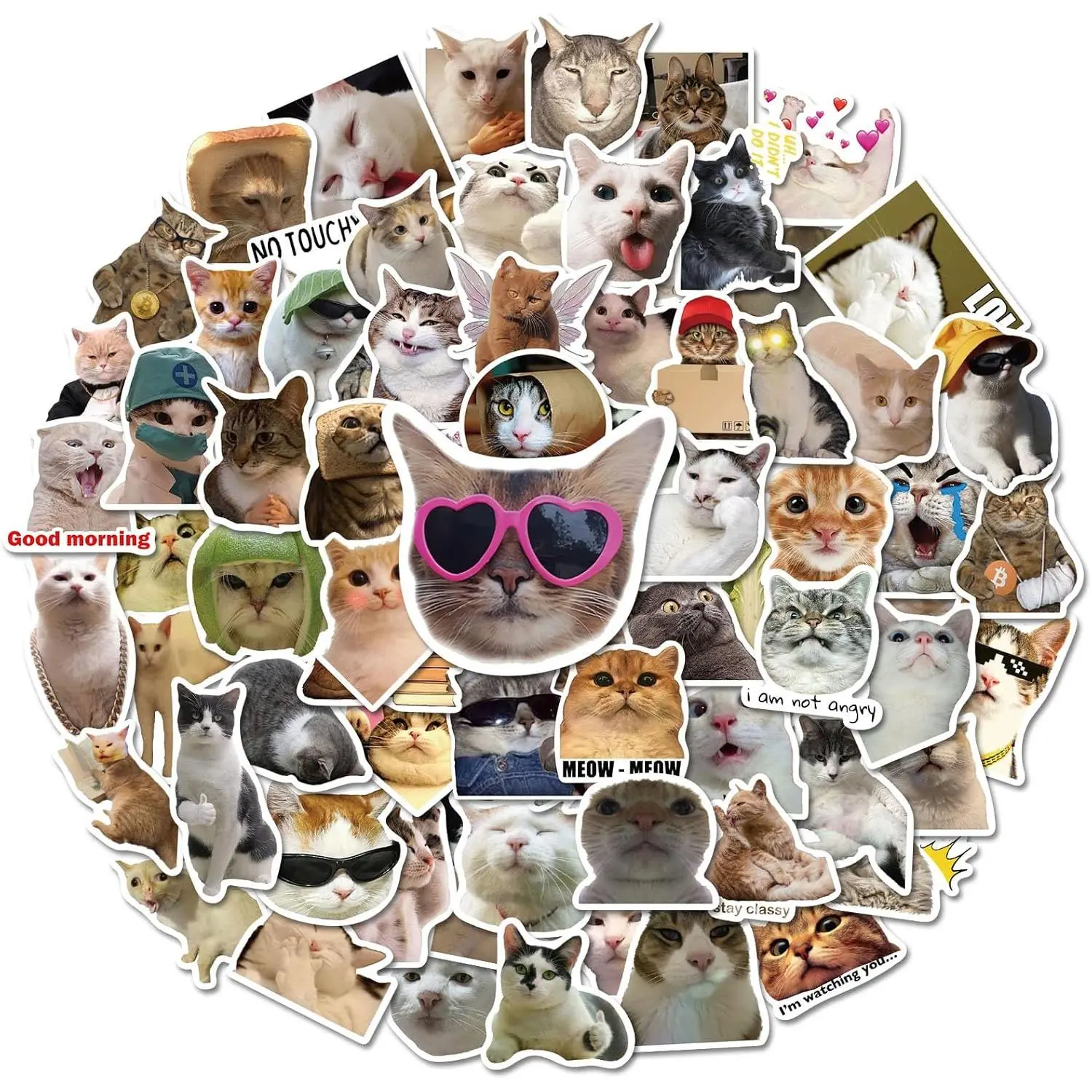 50 Pcs Cute Meme Kitten Vinyl Stickers, Waterproof DIY Decals for Water Bottles, Laptop, Guitar - Personalize Items, No Residue Party Gift Choice for Teens & Kids, Customizable