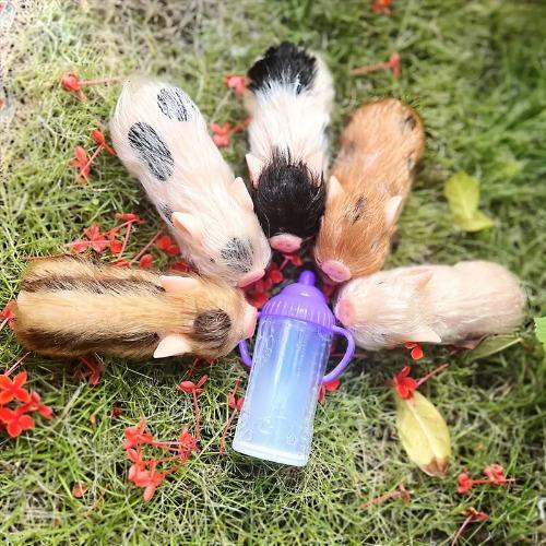 5inch/12cm 5 Styles Cute Mini Piglets Full Body Silicone Dolls with 3 Sets Mini Outfits for Each Lovely Piglet Doll Handmade Painted Newborn Dolls Perfect Gifts For Birthday