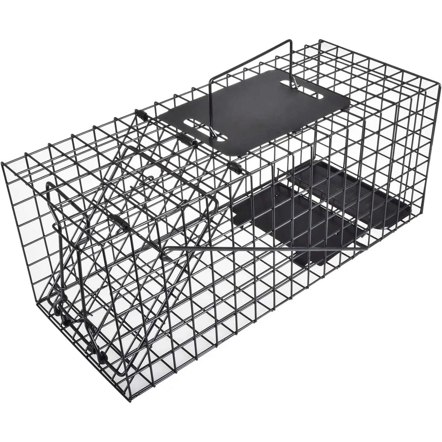 Live Squirrel Trap Heavy Duty Humane Animal Cage Trap| No Assembly Required, Catch and Release