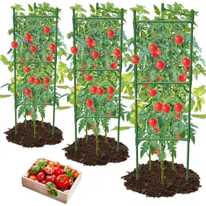 3 Pack Tomato Cage,Tomato Cage for Raised Garden Bed, 48'' Tall Tomato Trellis Triangle or Square Cages for Garden,Pots, Plant Cages & Supports（Green, Extra Bold ）