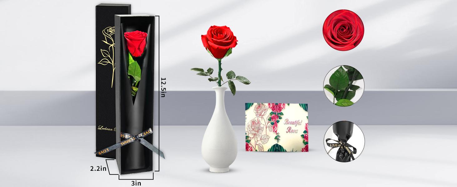 Single Forever Roses Luxury Gift for Women/Men, Fresh Flowers Bouquet for Girlfriend, Wife, Mom, Anniversary, Valentine's Day, Wedding, Graduation, Christm