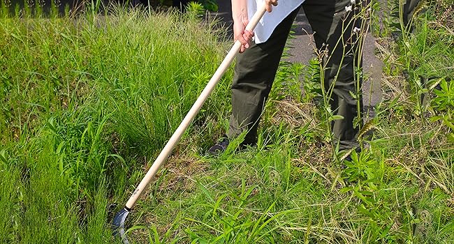 Japanese Sickle Long Handle 45" [Triple Edged Blade] Grass Sickle Stand Up Tool, Japanese Carbon Blade, Japan