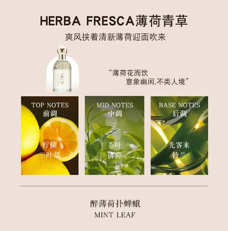 Long Lasting Fragrance for Women Men 100ml Eau De Parfum Classic Fresh Scent Daily Use Perfume High Quality Fast Shipping