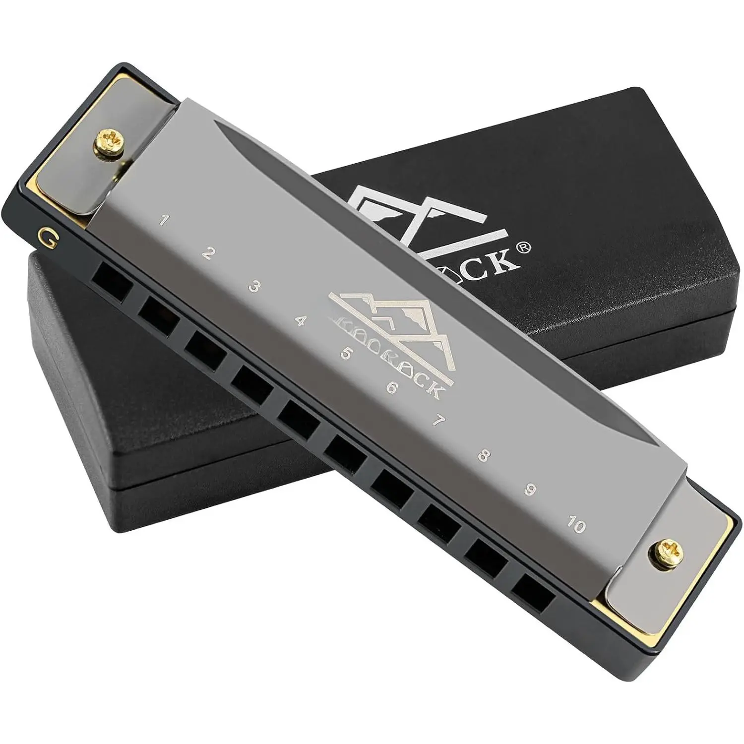 Blues Harmonica Mouth Organ 10 Hole G Key with Case, Diatonic Harmonica for Professional Player, Beginner, Students gifts, Adult, ,  Black