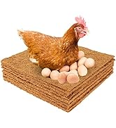 Sewing Machine, Mini Sewing Machine for Beginners Quick Repair, Stitching Machine with Sewing Kit, Embroidery Device for Sewing Clothes DIY Projects