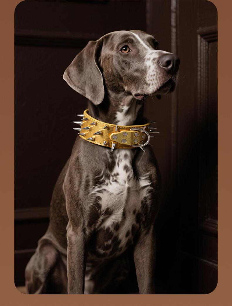 Wide Studded Dog Collar – Anti-Bite, Street Style, Heavy Duty & Tug Resistant