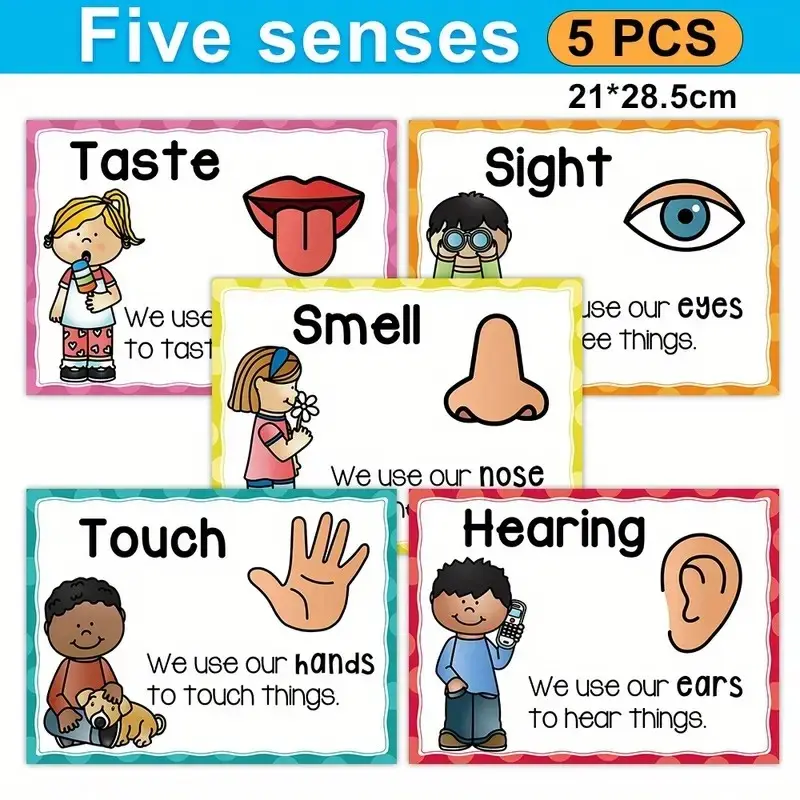 5pcs Five Senses Posters, Large Preschool Educational Wall Art, Waterproof and Eco-Friendly, Classroom Decor, Learning Tools