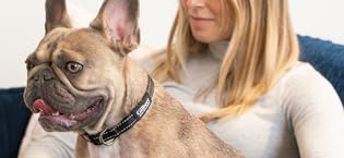 Pawblefy - Personalized Airtag Cat Collar - Cat Collar with Airtag Holder - GPS Collar for Cats - Customizable cat GPS tracker collar (Standard) Pawblefy - Personalized Airtag Cat Collar - Cat Collar with Airtag Holder - GPS Collar for Cats - Customizable cat GPS tracker collar (Standard)