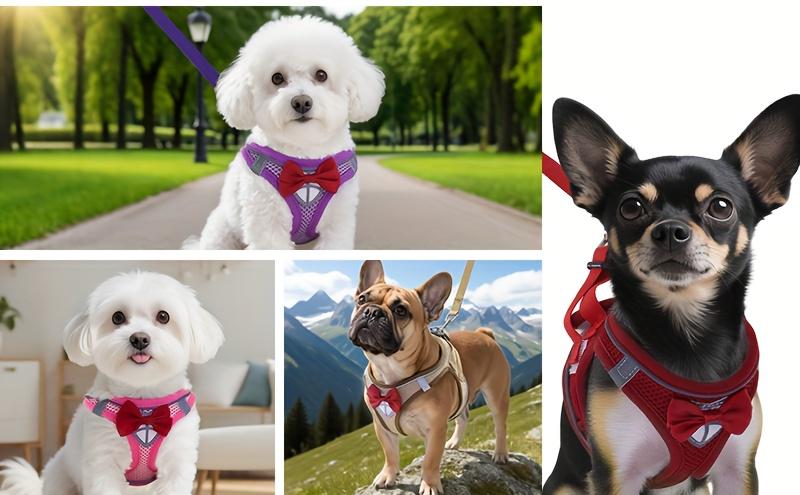 Dog Harness and Leash Set, Breathable Mesh Pet Harness, Reflective Adjustable Puppy Vest, Suitable for Small Dogs and Cats