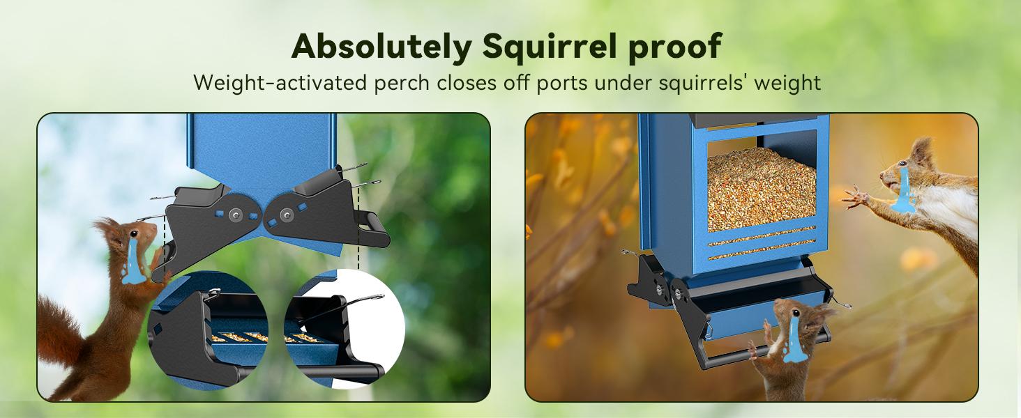 Wildpark Squirrel Proof Smart Bird Feeder by Wildpark - Outdoor Bird House for Bird Watching, Attracts Many More Birds! Durable Courtyard Decoration & Mother‘s Day Gift Idea for Garden Moms.