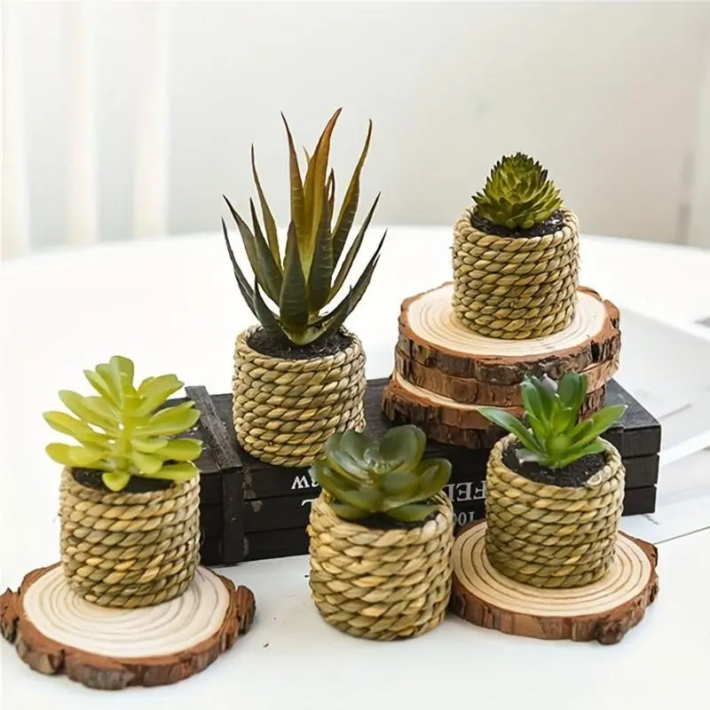 5-piece artificial potted plants, Artificial Succulents, artificial plant aloe vera imitation succulent, plastic flower potted landscape table decoration, realistic succulent plants, plastic flowers, Artificial Plant Set