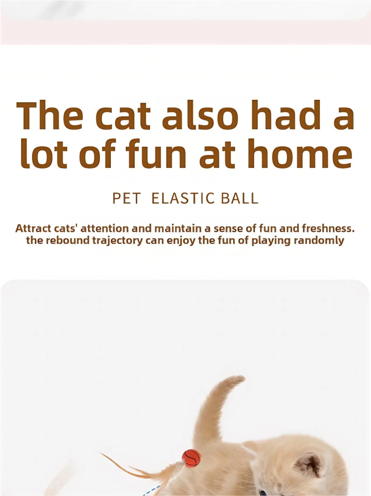 New Rubber Elastic Ball with Feathers Interactive Cat Toy for Chasing Biting Play Fun as Soccer Football Basketball Baseball Ball Pet Supplies